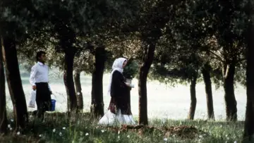 Zasłona do filmu "زیر درختان زیتون" #457600