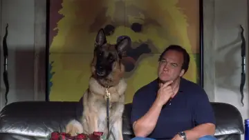 Zasłona do filmu "K-9 - Prywatny detektyw" #1075096