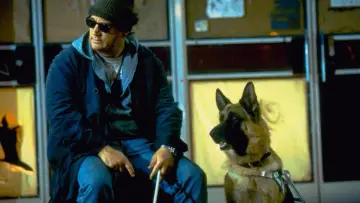 Zasłona do filmu "K-9 - Prywatny detektyw" #433157