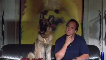 Zasłona do filmu "K-9 - Prywatny detektyw" #433158