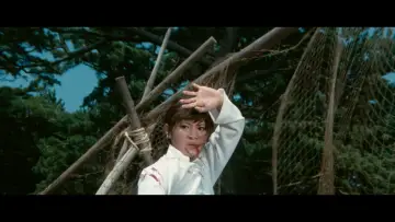 Zasłona do filmu "Sister Street Fighter" #1622829