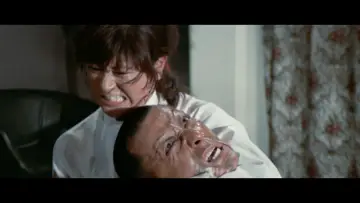 Zasłona do filmu "Sister Street Fighter" #1622832