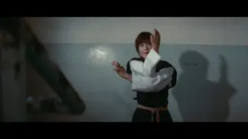 Zasłona do filmu "Sister Street Fighter" #1622841