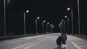 Zasłona do filmu "Pejzaż we mgle" #1102127
