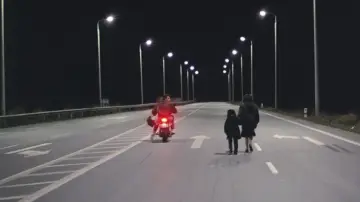 Zasłona do filmu "Pejzaż we mgle" #1102138
