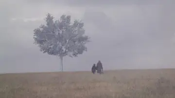 Zasłona do filmu "Pejzaż we mgle" #1102139