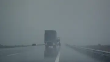 Zasłona do filmu "Pejzaż we mgle" #1102144