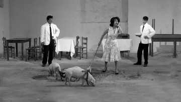 Zasłona do filmu "Mamma Roma" #752404