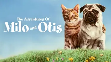 Zasłona do filmu "子猫物語" #1048337