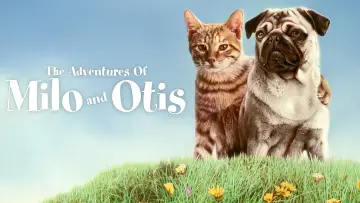 Zasłona do filmu "子猫物語" #1048339