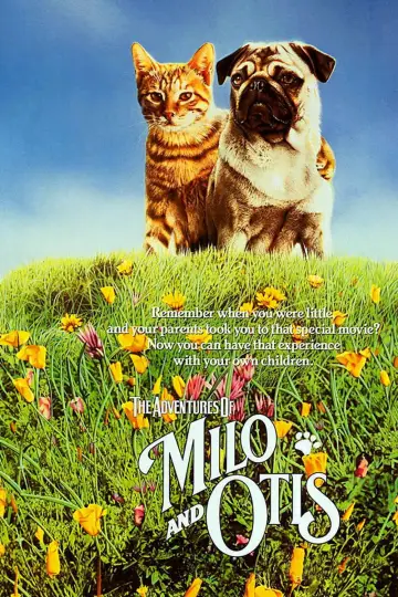 Plakat do filmu "子猫物語" #1048345