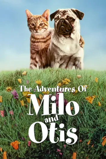 Plakat do filmu "子猫物語" #1048346