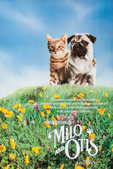 Plakat do filmu "子猫物語" #1048349