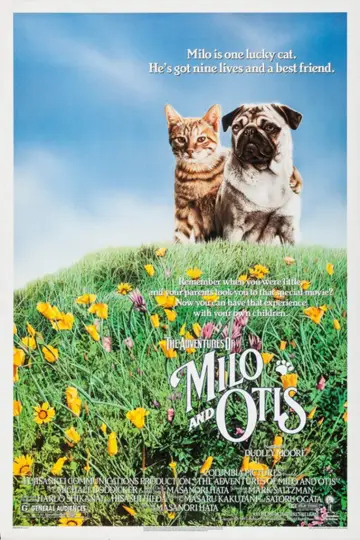 子猫物語