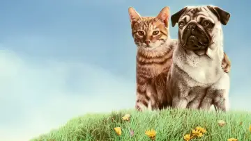 Zasłona do filmu "子猫物語" #409198