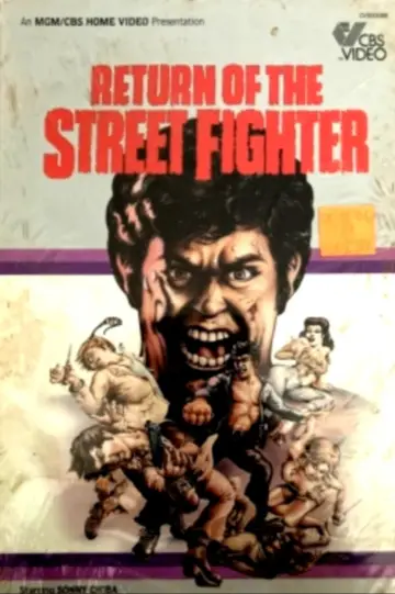 Plakat do filmu "Return of the Street Fighter" #1093397