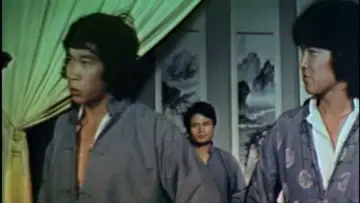 Zasłona do filmu "Zemsta Tygrysa z Shaolin" #1566930
