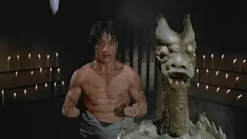Zasłona do filmu "Zemsta Tygrysa z Shaolin" #400194