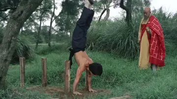 Zasłona do filmu "Zemsta Tygrysa z Shaolin" #400195