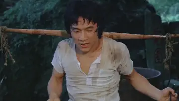 Zasłona do filmu "Zemsta Tygrysa z Shaolin" #400197
