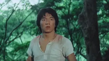 Zasłona do filmu "Zemsta Tygrysa z Shaolin" #400199