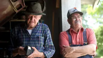 Zasłona do filmu "Wieczorne słońce" #421757