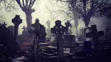 Zasłona do filmu "From Beyond the Grave" #451381