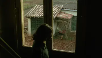 Zasłona do filmu "Południe" #535720