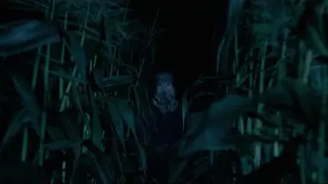 Zasłona do filmu "The Town That Dreaded Sundown" #1028468
