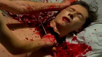 Zasłona do filmu "Nekromantik 2" #733232