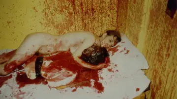 Zasłona do filmu "Nekromantik 2" #733234