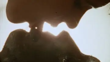 Zasłona do filmu "Nekromantik 2" #733252