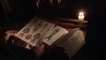 Zasłona do filmu "Cień bestii" #496622