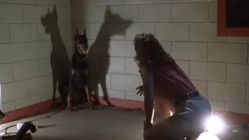 Zasłona do filmu "Cień bestii" #496625