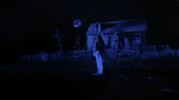 Zasłona do filmu "Biala dama" #1195005