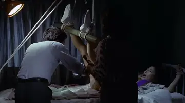 Zasłona do filmu "Kwiat i wąż" #951217
