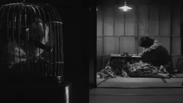 Zasłona do filmu "赤い殺意" #406639