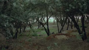Zasłona do filmu "خانه‌ی دوست کجاست؟" #752474