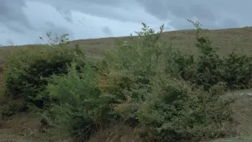 Zasłona do filmu "خانه‌ی دوست کجاست؟" #752476
