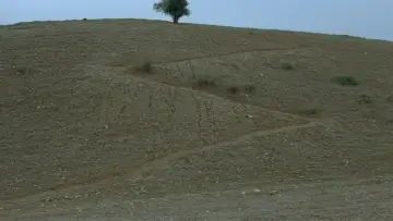 Zasłona do filmu "خانه‌ی دوست کجاست؟" #752477