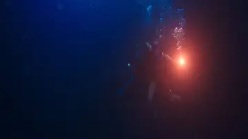 Zasłona do filmu "Podwodna pułapka" #338064