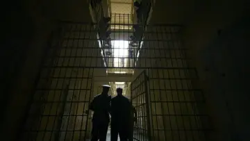 Zasłona do filmu "Ukryte życie" #870624