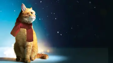 Zasłona do filmu "Kot Bob i ja" #182769