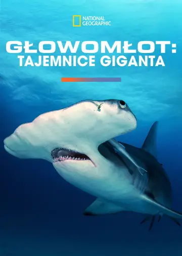 Plakat do filmu "Głowomłot olbrzymi" #980703