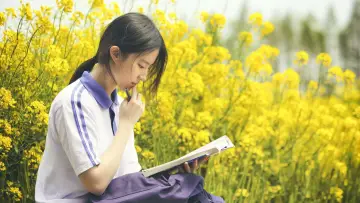 Zasłona do filmu "致青春·原来你还在这里" #948284