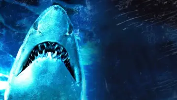 Zasłona do filmu "Dam Sharks!" #713899