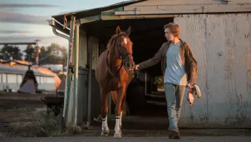 Zasłona do filmu "Polegaj na mnie" #1185461