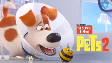 Zasłona do filmu "Sekretne życie zwierzaków domowych 2" #32657