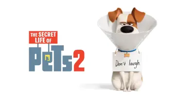 Zasłona do filmu "Sekretne życie zwierzaków domowych 2" #32658