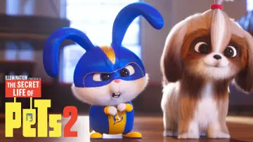 Zasłona do filmu "Sekretne życie zwierzaków domowych 2" #32659
